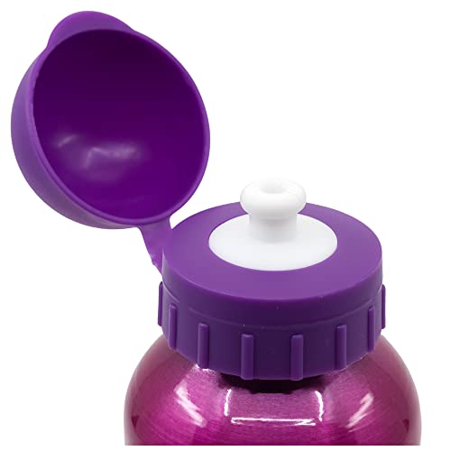 Bottiglia in alluminio per bambini da 530 ml | paw...