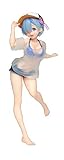 Taito Re: Zero -Starting Life in Another World-: Rem Precious Figure (T-shirt Swimsuit Version)