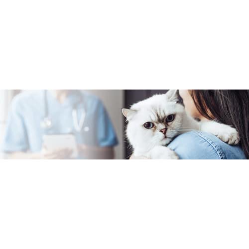 Kattovit Feline Diet Diabetes/Gewicht | 400 g | Trockenfutter für Katzen im Beutel | Zur Verringerung der Kalorienaufnahme | Hoher Proteingehalt zur Unterstützung der Muskeln
