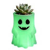 VMAYAN Glow in The Dark Ghost Wall Planter, 4 Inch Hanging Plant Pot