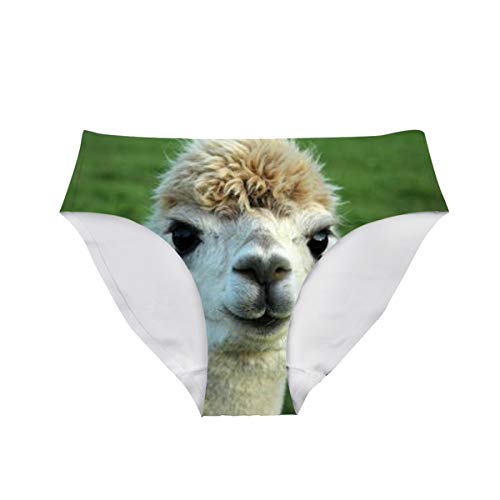 Image of Dellukee Sexy Women Underwear Briefs Breathable Hipster Panty White Alpaca Print