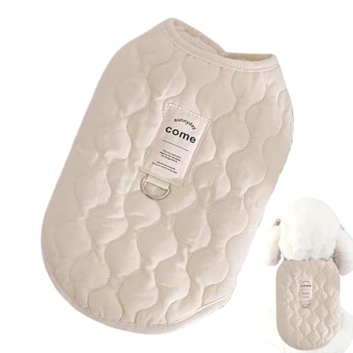 ybg̊VCR[g - gʂ݂̃xXgȂqWPbgASn̗ǂ~̃Ap|_炩ƉK̏_炩̓~̓~̏Ȓx̑傫ȕi퉮OUƐ