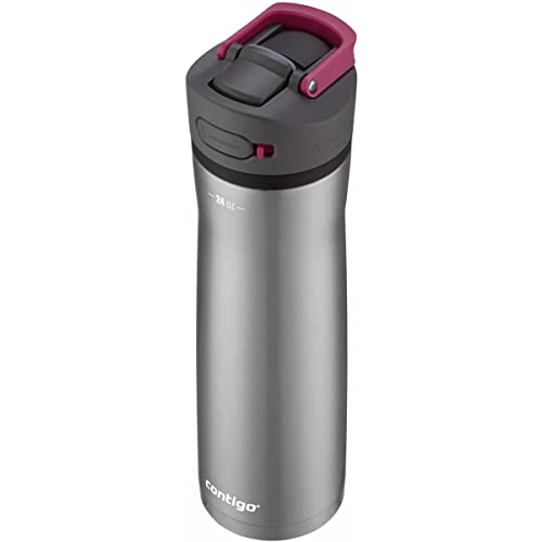 Image of Contigo Ashland Chill 2.0, 24oz., Stainless Steel Water Bottle with AUTOSPOUT Lid, Steel /Dragonfruit