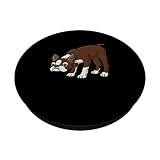 Zoom IMG-1 boston terrier cane marrone sniffing
