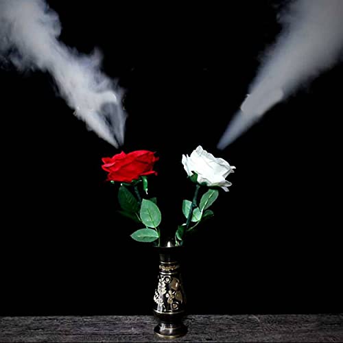 Smoke Rose magic trick pour animer vos soirées et fêtes