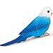 Safari Ltd. Blue Budgie Figurine - Detailed 3