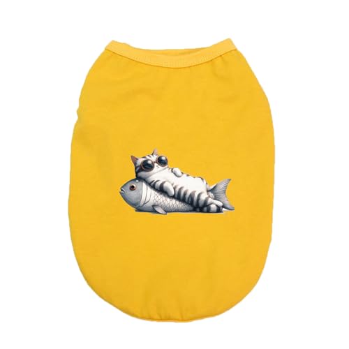 ZSDGBZ  ybg ^ 3XL m CG[ hbOEFARXv RX`[ lC ϐg ̕ L tp Hp U o RXv NX}X n[EB ct