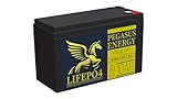 Pegasus Energy 12.8V 10Ah Lithium Iron Phosphate LiFePO4 Deep Cycle Rechargable Battery with Built-in BMS, 4000+ Cycles, Lightweight & Long Lasting for RV, Solar, Marine and Off-Grid Applications