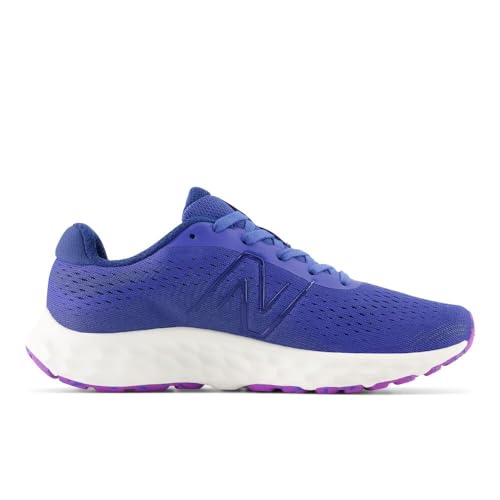 Image of New Balance Women's 520 V8 Shoes