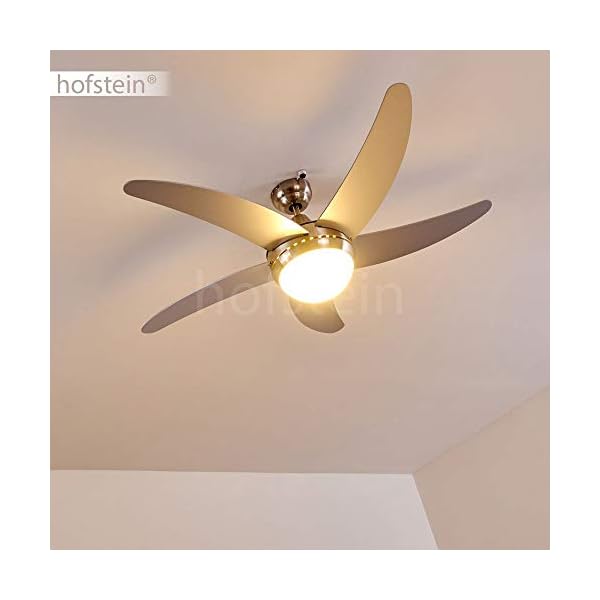 Ceiling Fan Morino with Light, Silvery Metal, Wood and Glass, Remote cotrolled (Included), for 2 x E14 max. 40 Watt Light Bulbs, Suitable LED Bulbs - Image 5