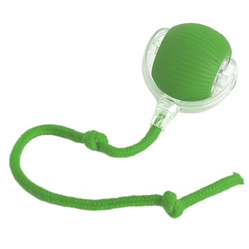 C^NeBuȔL̂{[ - ybgGNTTCYAqp̃X}[g[OhbOA[d[V{[Aybg`FCXg[jOALEDCgvC{[|Ľ̂߂̃ANeBuȉ^ߋ