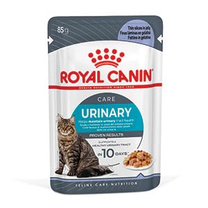 Urinary Care In Jelly Adult Wet Cat Food (Pack of 48)