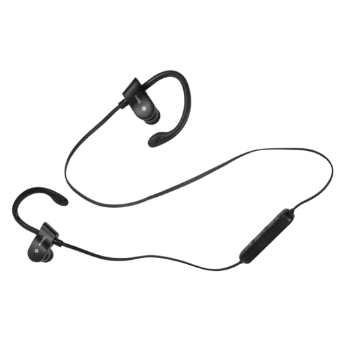 ibasenice CtH gray grey black wbhZbg Cz L 