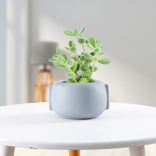 Pots de fleurs décoratifs pour sublimer les petits espaces