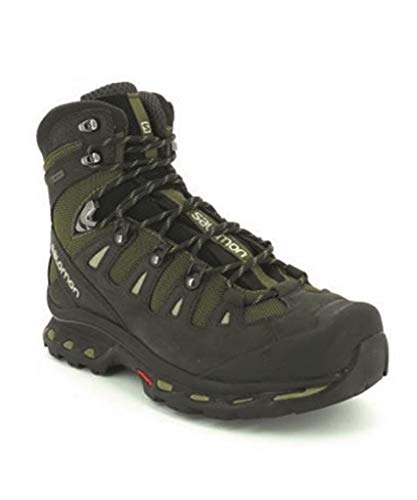 Salomon Men's Quest 4D 2 GTX Backpacking Boot, Iguana Green/Asphalt/Dark Titanium, 10 M US