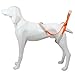 VICASKY Dog Sling Harness for Rehabilitation Dog Walking Aid Strap Lightweight and Comfortable Design