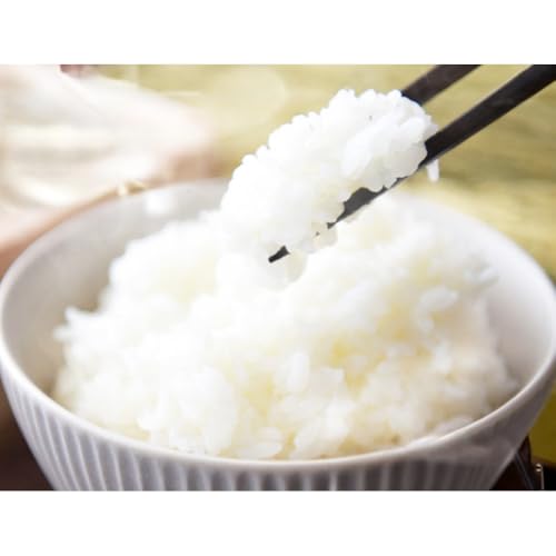 [令和6年産米/最短翌日お届け] 北海道産ななつぼし 精米5kg