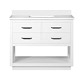 OVE Decors Carran 42' Bathroom Vanity and Sink with Cultured Marble Countertop, Pre-Assembled |...