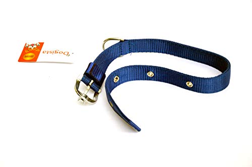 Image of Dogista pet Products Nylon Collar 1 inch (Color May Vary) Large
