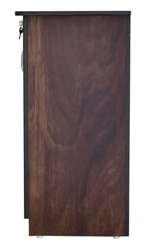 Image of CASPIAN 2 Door Shoe Rack Cum Cabinet (Rainforest Brown) | Engineered Wood Pre Assembled Furniture | Storage Organizer for Indoor /Outdoor Use | 4 Shelves & Door Lock | Wooden Shoe Racks for Home