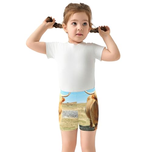 Joisal Under Dress Shorts Funny Cotton Toddler Girls Biker Shorts 4t Baby Kids Scottish Highland Cow Field3