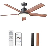 Dreo Smart Deckenventilator mit Licht, 132 cm, 12 Geschwindigkeiten, 3 Modi, stufenlos dimmbares LED-Beleuchtung, leiser DC-Motor, 12H-Timer, Fernbedienung/APP/Alexa, für Innenräume, Schwarz