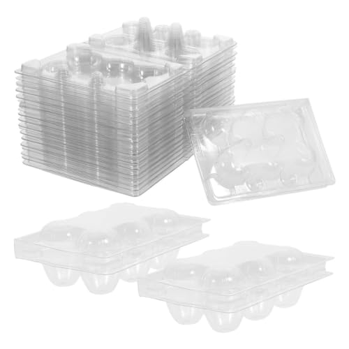 Transparent 6-Grid PVC Egg Tray