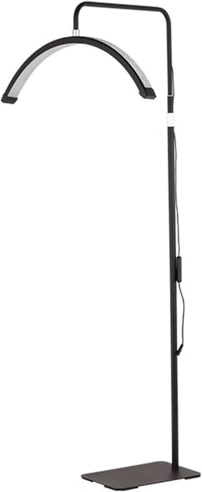 Professional LED Arch Floor Lamp with Remote & Button Control | Dimmable Half-Moon Design, Adjustable Brightness & Color Temperature | for Nail/Tattoo Studios & Salons(Color:Black)
