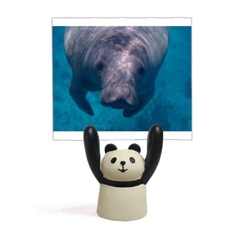 Photo Memo Holder Panda et Organisme Marin : Support Photo de Bureau Dessin Animé Original