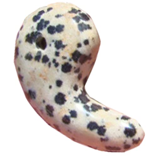 Ham8310 Dalmation shell stone piece with hole