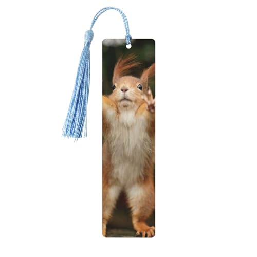 X Aj}vg Ǐy[W}[J[  ^bZtؐ5 {Dւ̃Mtg