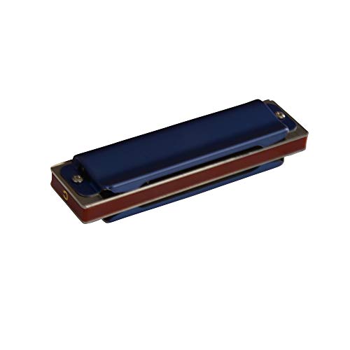 Image of ARCTIC C Key 10-Hole 20-Tone Premium Harmonica With Case & Cloth - Blue | Excellent Airtightness, Smooth Airflow, Easy Playability, Bright Clear Tone, ABS Comb, Brass Reeds, Beginner Friendly