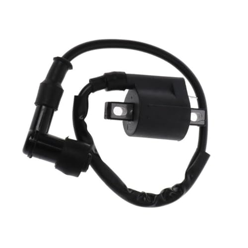 Bobina de encendido para motor G6KC de moto, scooter y quad