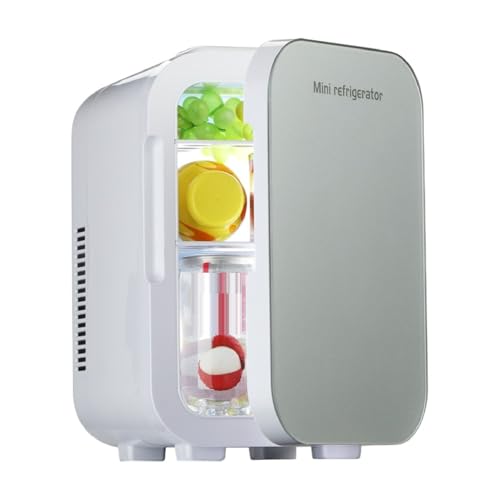 Pssopp Réfrigérateur de Petites Voitures, Refroidissement de Soins Portables à Refroidissement Rapide Fridge Food Storage Plus Refroidisseur pour le Camping de Voyage en Plein