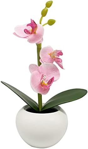 EMINGSKY Orchid Simulation Flowers Table Lamp Led Night Lights for Bedroom Sleeping Nightstand Living Room Decor Gifts for Girls - Ceramic Pot - Battery Operated (Pink Orchid)