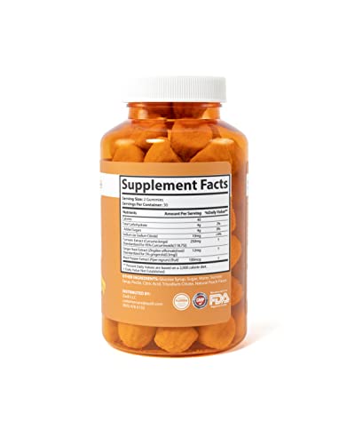 Zuzili Turmeric & Ginger Gummies 262Mg (1 Bottle, 60 Count) For Joint Support & Inflammation, Vegan, Non-Gmo, Gelatin-Free, Gluten-Free, With Pure Curcumin) Highest Absorption #TOP1