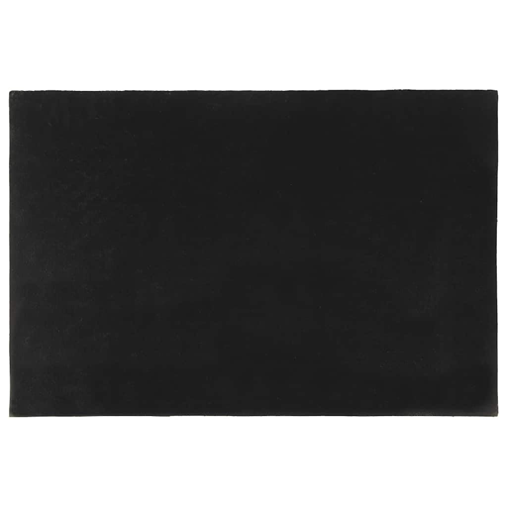 Fußmatte Schwarz 60x90 cm Kokosfaser Abtreter Eingangsmatte