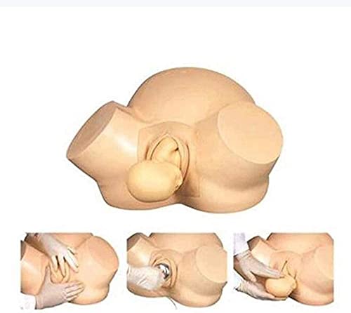 How many holes in vegina How many holes in vegina