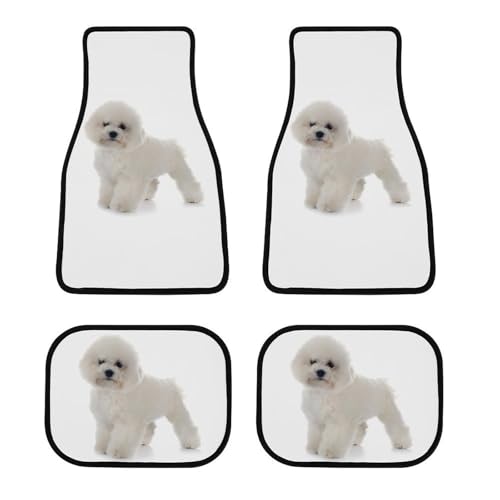 J[}bg rVEt[[  tA}bg  ԗptA}bg 4_Zbg y/ʎ O2E2 h~ ~ ېOK tȒP J[pi lGʗp