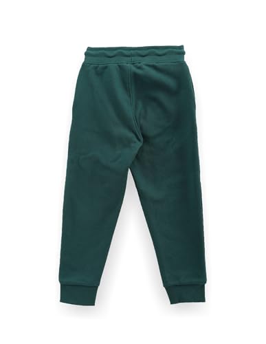 Image of U.S. Polo Assn. Kids Regular fit Boys Cotton Track Pants