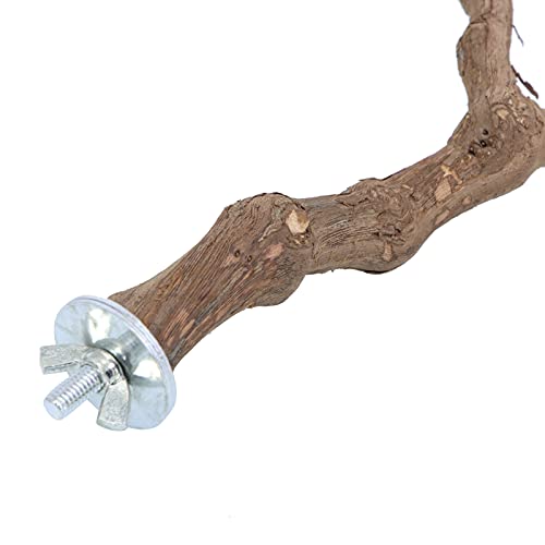 Bird Perch Nature Wood Stand for 3-4pcs Small Medium Parrots (2pcs Grape Perch) - Image 8