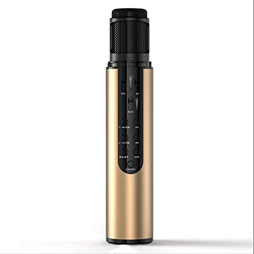 Microphone sans fil haut-parleur Bluetooth or pour karaoké à la maison