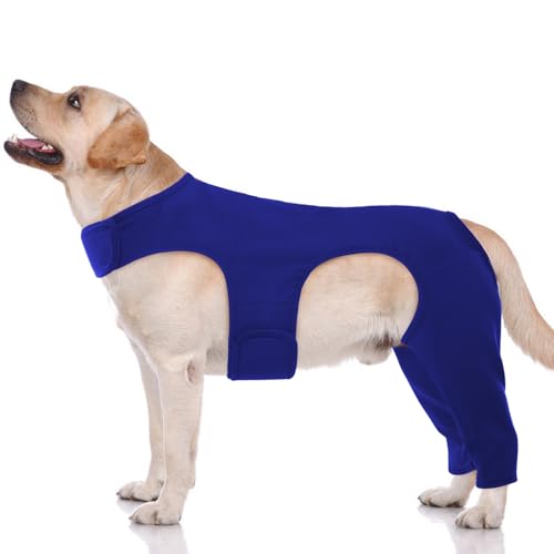 Image of ROZKITCH Recovery Sleeve for Dogs Back Leg Rear Right Left, Pet Prevent Licking Wound Elbow Protector, Dog Recovery Suit Cone Collar Alternative for Sprain ACL CCL Arthritis Joint Care Blue M