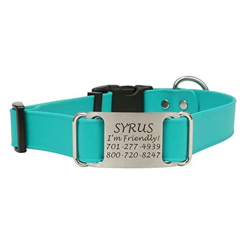 dogIDs Personalized Quick Release Waterprooft ScruffTag Dog Collar - Built-in Custom Laser Engraved Nameplate, Odor Resistant - Teal, 1 in x 16-23 in