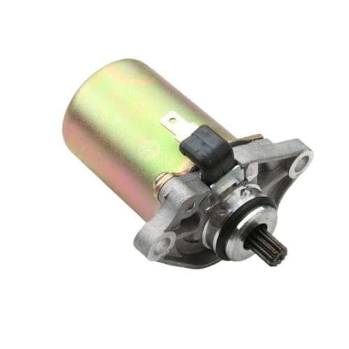 XN[^[p11dX^[^[[^[ 50cc 82530R 2Xg[NoCNɓK