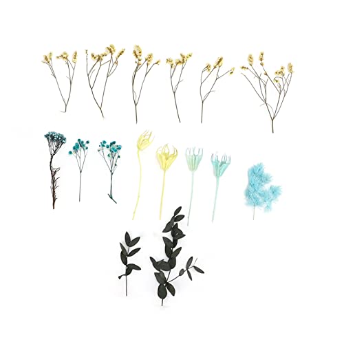 Flores secas naturales para decoración de mesa miniatura 1