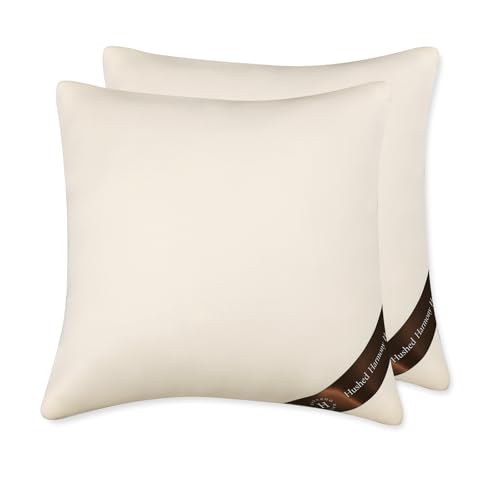 HAVARGO �N�b�V�������g 50x50 �񖇃Z�b�g �ᔽ���k�[�h�N�b�V���� �y�ւ���ɂ���3�w�\���z �ׂ�Ȃ� �������� �ӂ�ӂ� �\�t�@�p �x�b�h�p ������ �w������ �Ǐ� (�x�[�W��, 50CM)