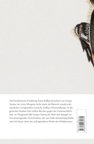 Die Verwandlung: 6