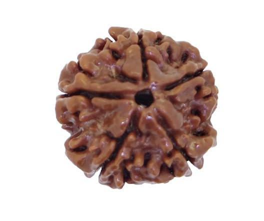 Image of Arihant Gems & Jewels 5 Mukhi /Faced Nepali Rudraksha | Natural & Certified | Astrological Five Mukhi /Faced Rudraksha | Positive Effect | Unisex Both for Men & Women.