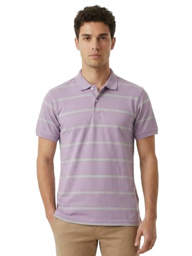 Image of Raymond Men Modern Fit Stripe Pattern Pure Cotton Polo Neck Half Sleeve Casual T-Shirt